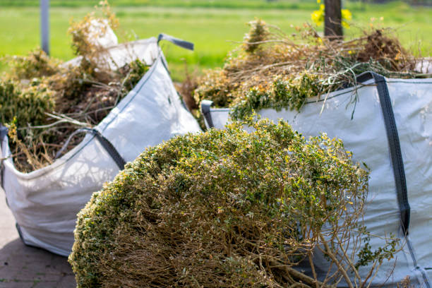 Best Carpet Removal and Disposal  in Calais, ME