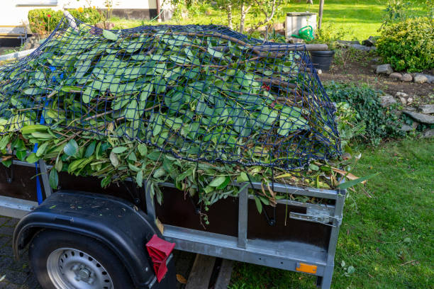 Best Residential Junk Removal  in Calais, ME